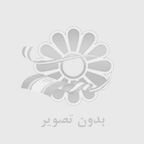 سهم بازار وردپرس در سال 2021